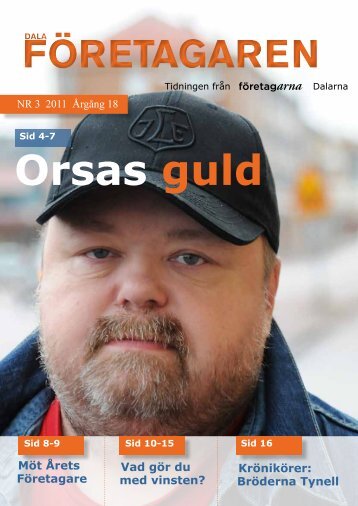 Dalaföretagaren nr.3 2011 - Reporter AB