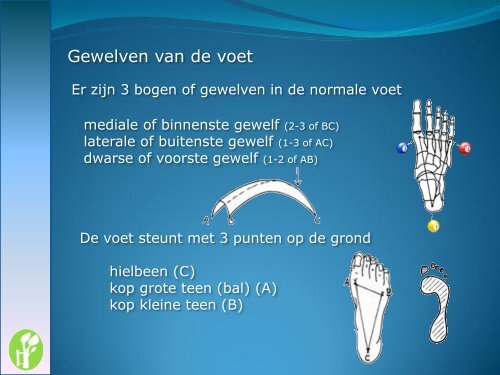 Steunzolen en voetverzorging - Spronken