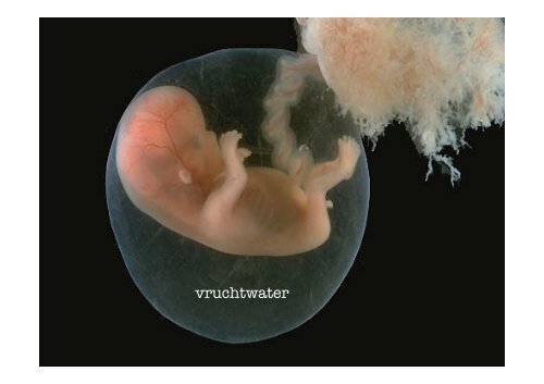 Vruchtwater