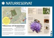 Läs mer om Naturreservatet Sånebyklätten.pdf