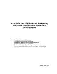 Richtlijnen voor diagnostiek en behandeling van visuele ... - NVAVG