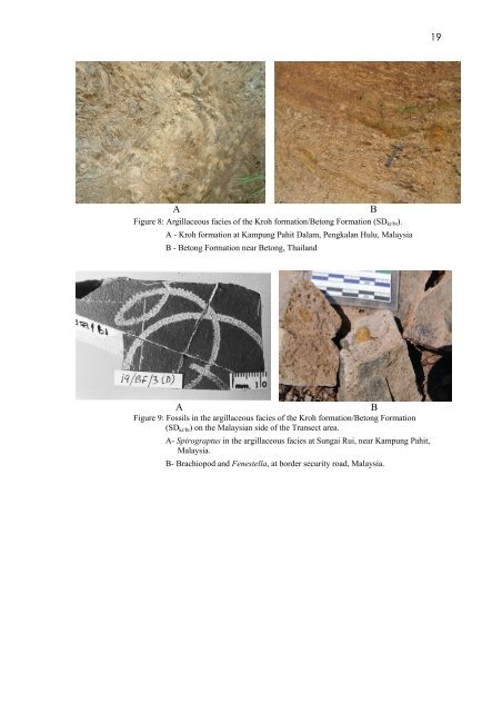 GEOLOGY OF THE PENGKALAN HULU-BETONG TRANSECT ...