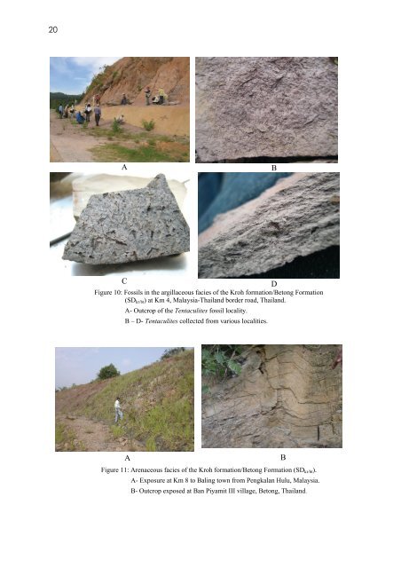 GEOLOGY OF THE PENGKALAN HULU-BETONG TRANSECT ...