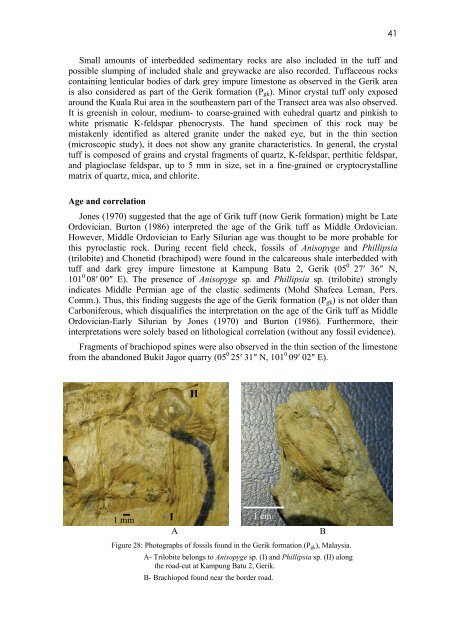 GEOLOGY OF THE PENGKALAN HULU-BETONG TRANSECT ...