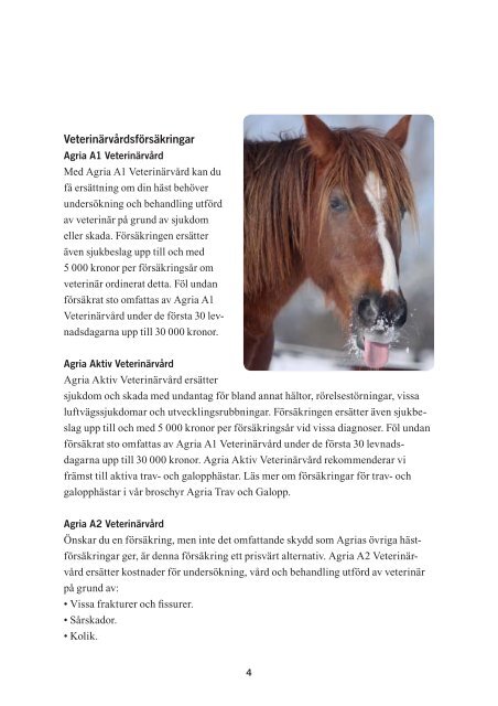 Produktbroschyr Häst - Agria Djurförsäkring