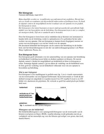 Het histogram Een histogram lezen - Breda