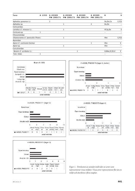 Ladda ned som PDF - SAU