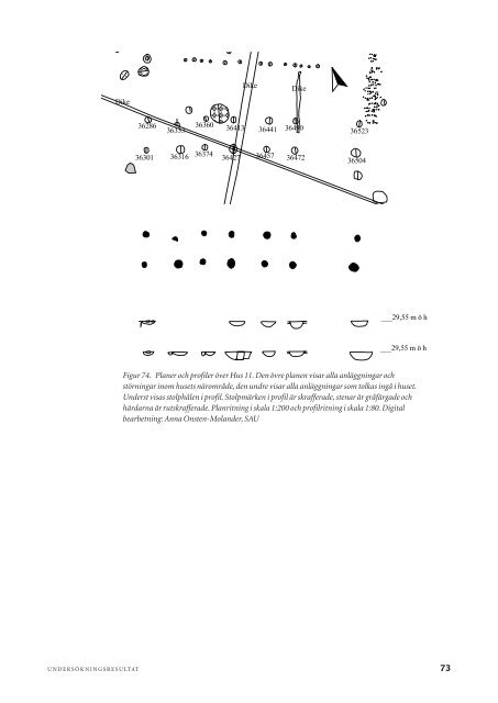 Ladda ned som PDF - SAU