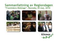 Sammanfattning av Regiondagen - Region Blekinge