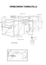 VÄRMLÄNDSK TUNNELFÄLLA