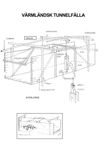 VÄRMLÄNDSK TUNNELFÄLLA