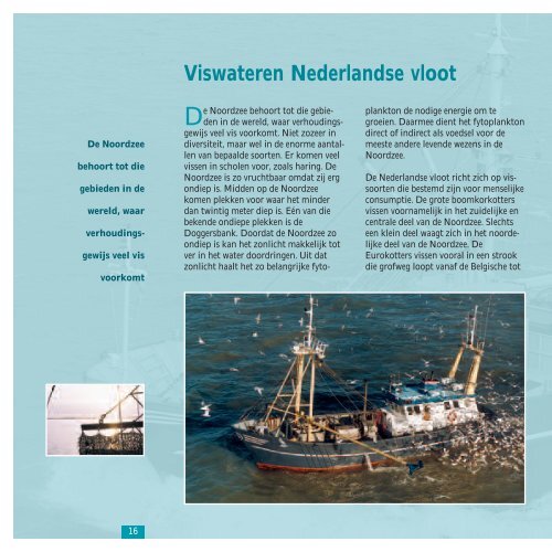 Nederland en vis, een moderne traditie - Productschap vis