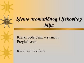 Sjeme aromatičnog i ljekovitog bilja (prezentacija)