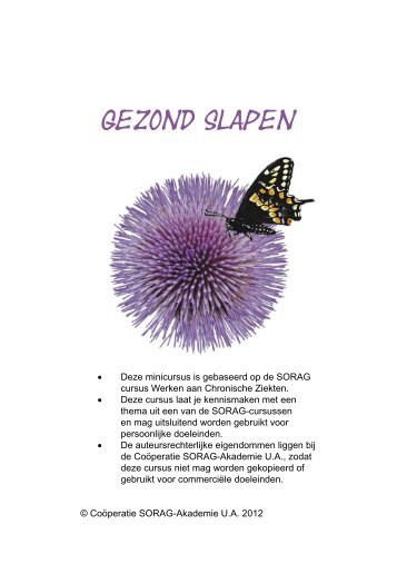 Gezond slapen - SORAG-Akademie