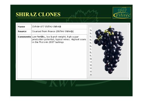 Shiraz Clone - shiraz sa - home