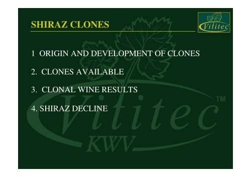 Shiraz Clone - shiraz sa - home