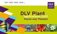 jaarbrochure 2010 - DLV Plant
