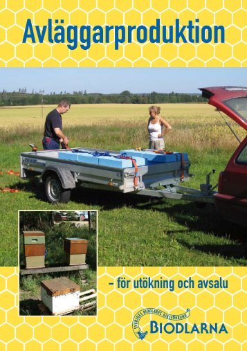 Avläggarproduktion