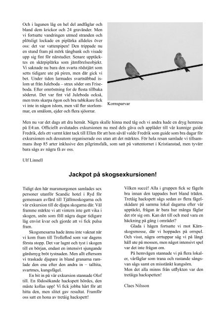 Rödspoven nr 2 2008 (PDF - ca 900kB) - Linköpings Fågelklubb