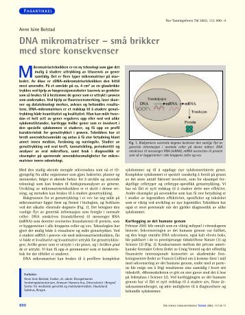 DNA mikromatriser – små brikker med store konsekvenser
