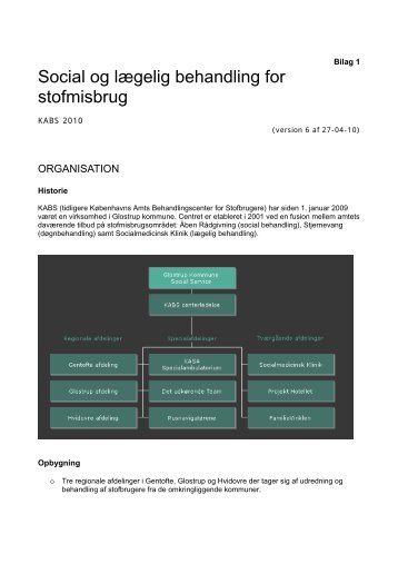 Social og lægelig behandling for stofmisbrug - Kabs