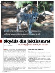 Västtest i tidningen Min Jakthund - Protector Hundskydd