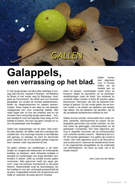 de Wielwaal oktober 2010.pdf - Ivn