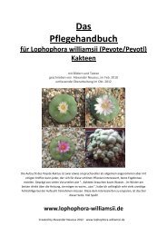 Das Pflegehandbuch für Lophophora williamsii (Peyote/Peyotl)