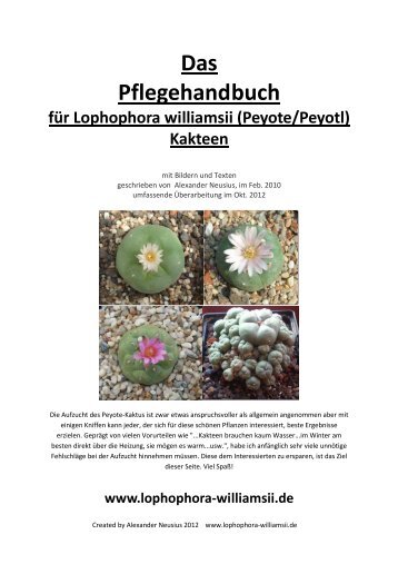 Das Pflegehandbuch für Lophophora williamsii (Peyote/Peyotl)