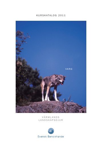 Här - Svensk Bensinhandel