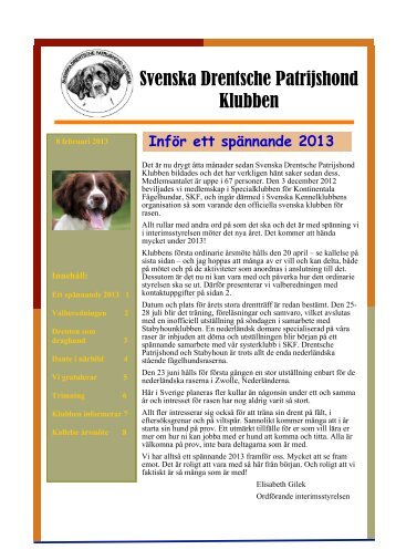 Nyhetsbrev 2013-02-08 - svenska drentsche patrijshond klubben