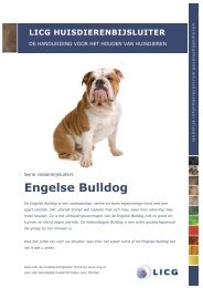 Download de huisdierenbijsluiter Engelse Bulldog - Licg