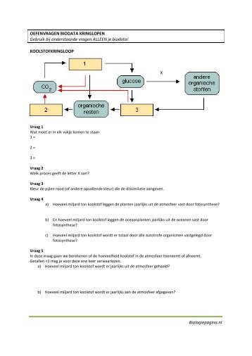 Oefenvragen BIODATA: Koolstofkringloop en ... - Biologiepagina