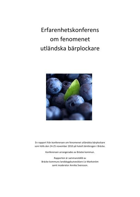 Erfarenhetskonferens dokumentation.pdf - Bräcke kommun