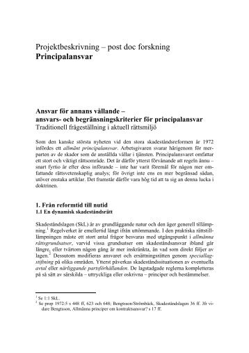 Projektbeskrivning – post doc forskning Principalansvar