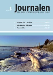 Journalen nr. 1/2011 - Den Danske Dyrlægeforening