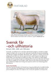 Svensk får –och ullhistoria