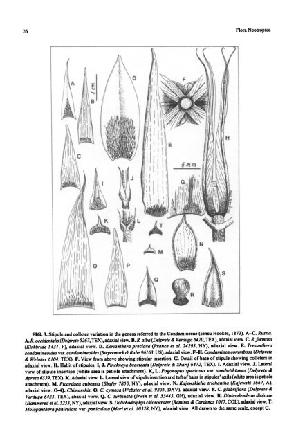 Rondeletieae (Rubiaceae): Part I (Rustia, Tresanthera ... - CNCFlora