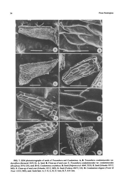 Rondeletieae (Rubiaceae): Part I (Rustia, Tresanthera ... - CNCFlora