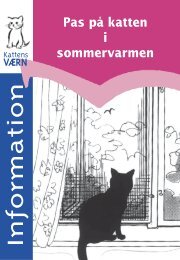 Pas på katten - Kattens Værn