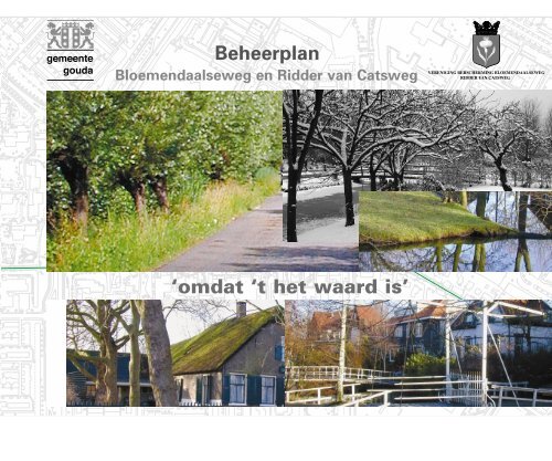 Beheerplan Bloemendaalseweg - Wijkteam Plaswijck