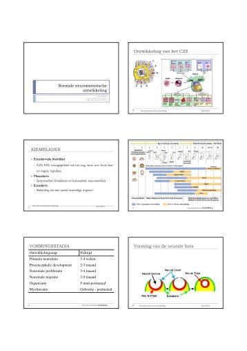 Normale neuromotorische ontwikkeling_Els Ortibus.pdf