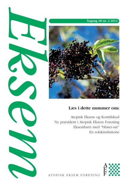 Blad nr. 2 2012:Blad nr. 1 2008 - Atopisk Eksem Forening