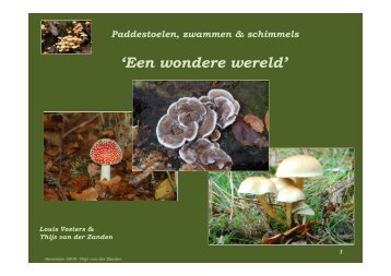 Paddestoelen, zwammen & schimmels - Thijs van der Zanden