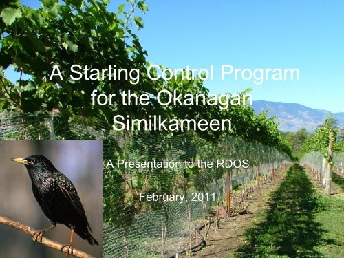 A Starling Control Program for the Okanagan ... - Rdosmaps.bc.ca