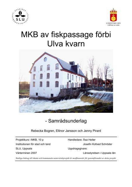 MKB av fiskpassage förbi Ulva kvarn - Fyrisåns vattenförbund