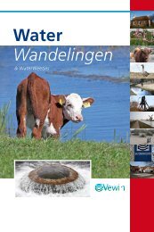 Water Wandelingen & WaterWeetjes - Vewin