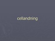 cellandning - NVB10