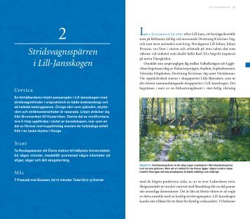 Stridsvagnsspärren i Lill-Jansskogen
