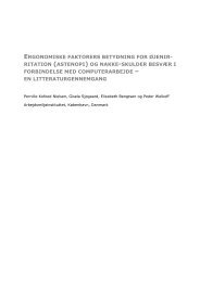 Download as PDF here - Det Nationale Forskningscenter for ...